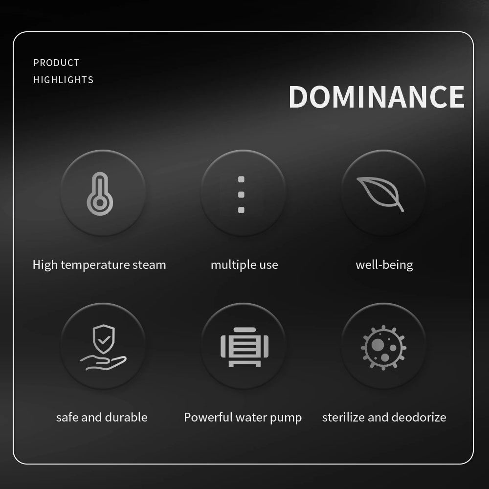 Compact Handheld Steam Cleaner