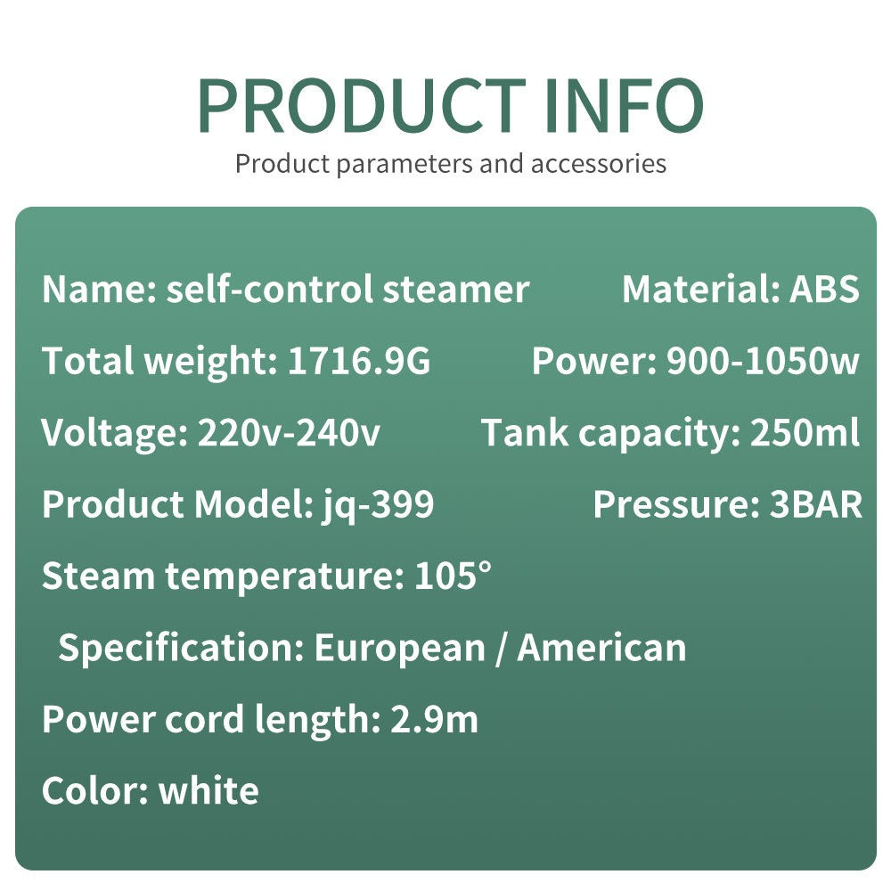 Compact Handheld Steam Cleaner